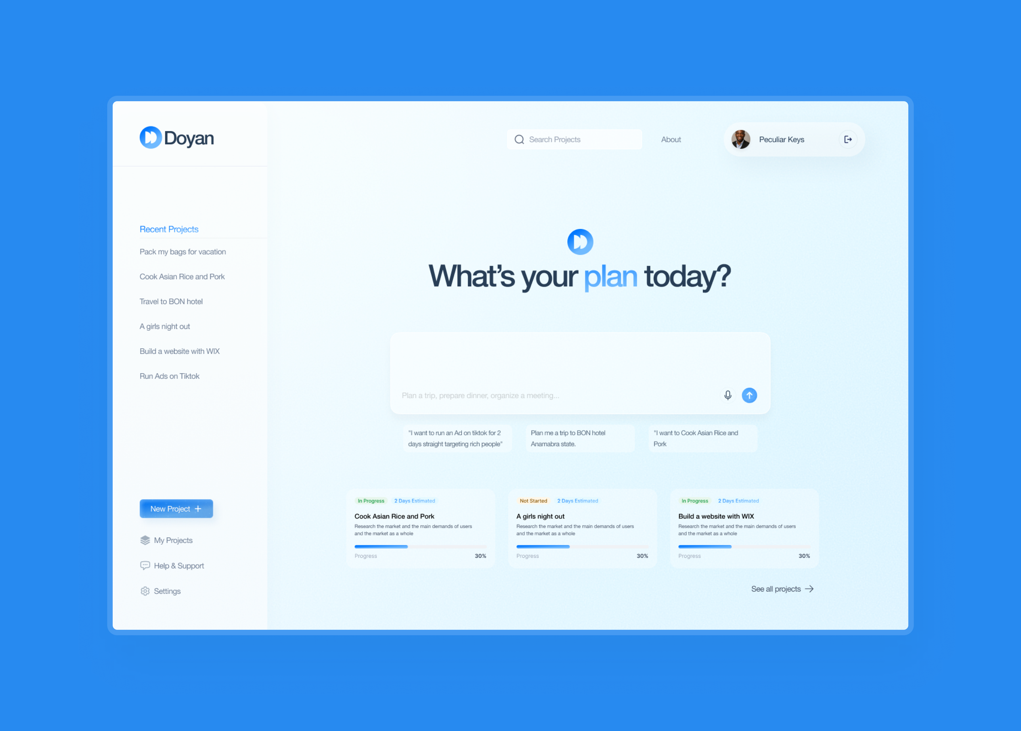 Doyan AI Project View 1